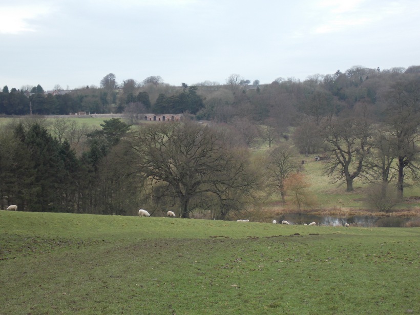 A view over the park into Londesborough